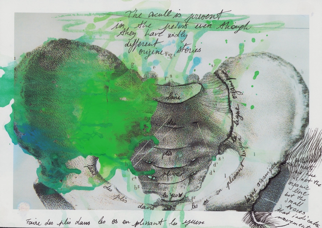 Fantasmical Anatomies